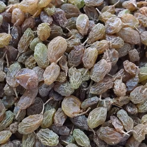 کشمش سایه خشک ملایر (1000 گرم )