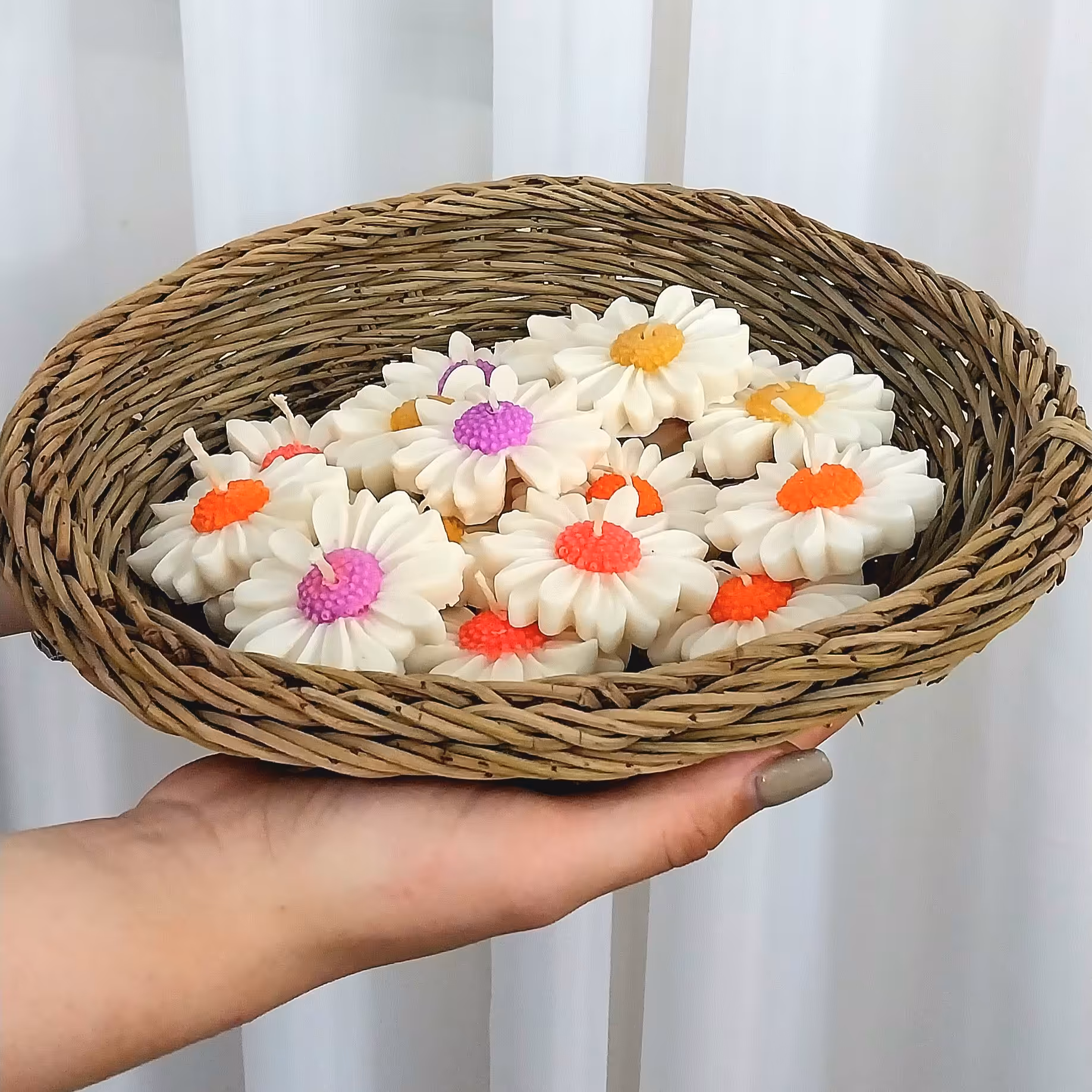 شمع گل بابونه