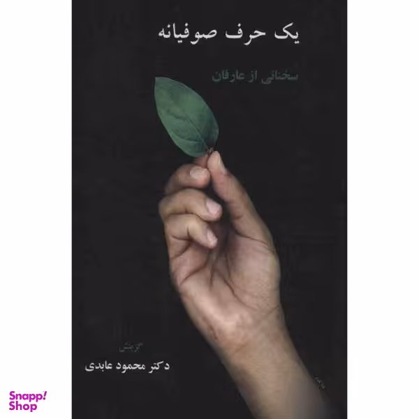 کتاب یک حرف صوفیانه اثر محمود عابدی