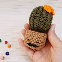 گل کاکتوس بافتنی دوست داشتنی 