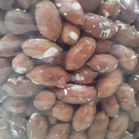 مغز بادام زمینی محصول 1402 استانه اشرفیه خوش طعم ونمکی 