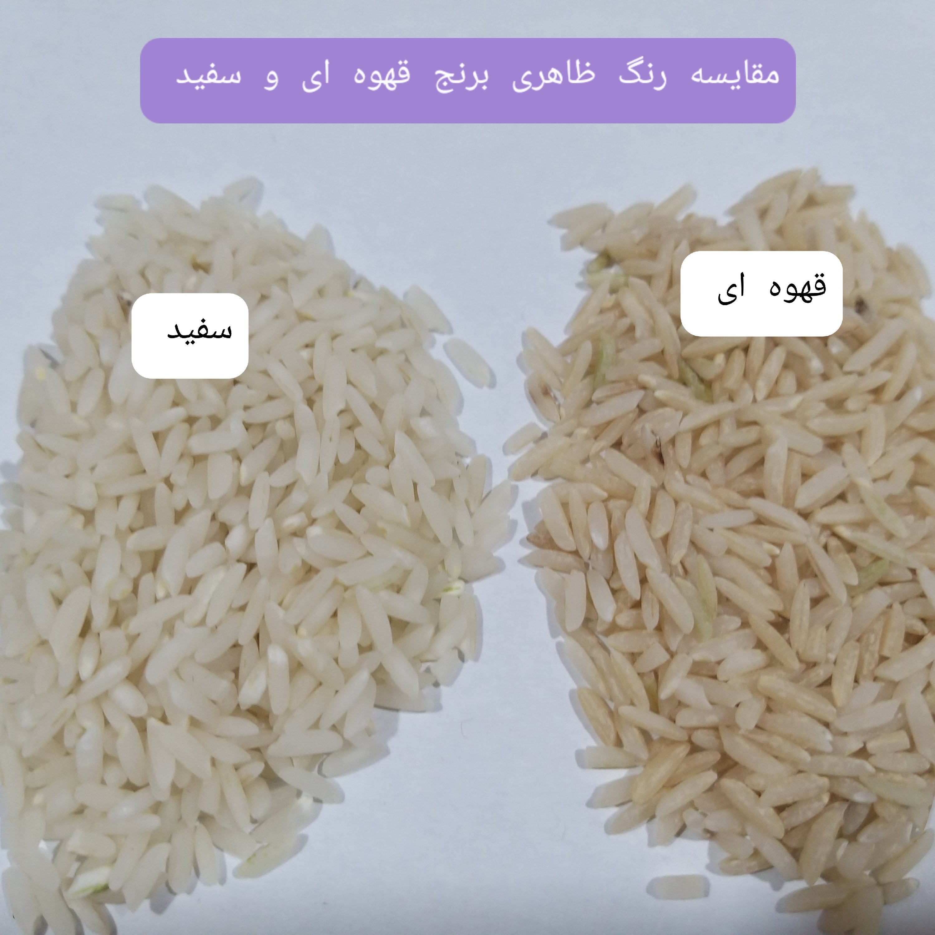 برنج قهوه ای طارم هاشمی بارفروش 400 گرم