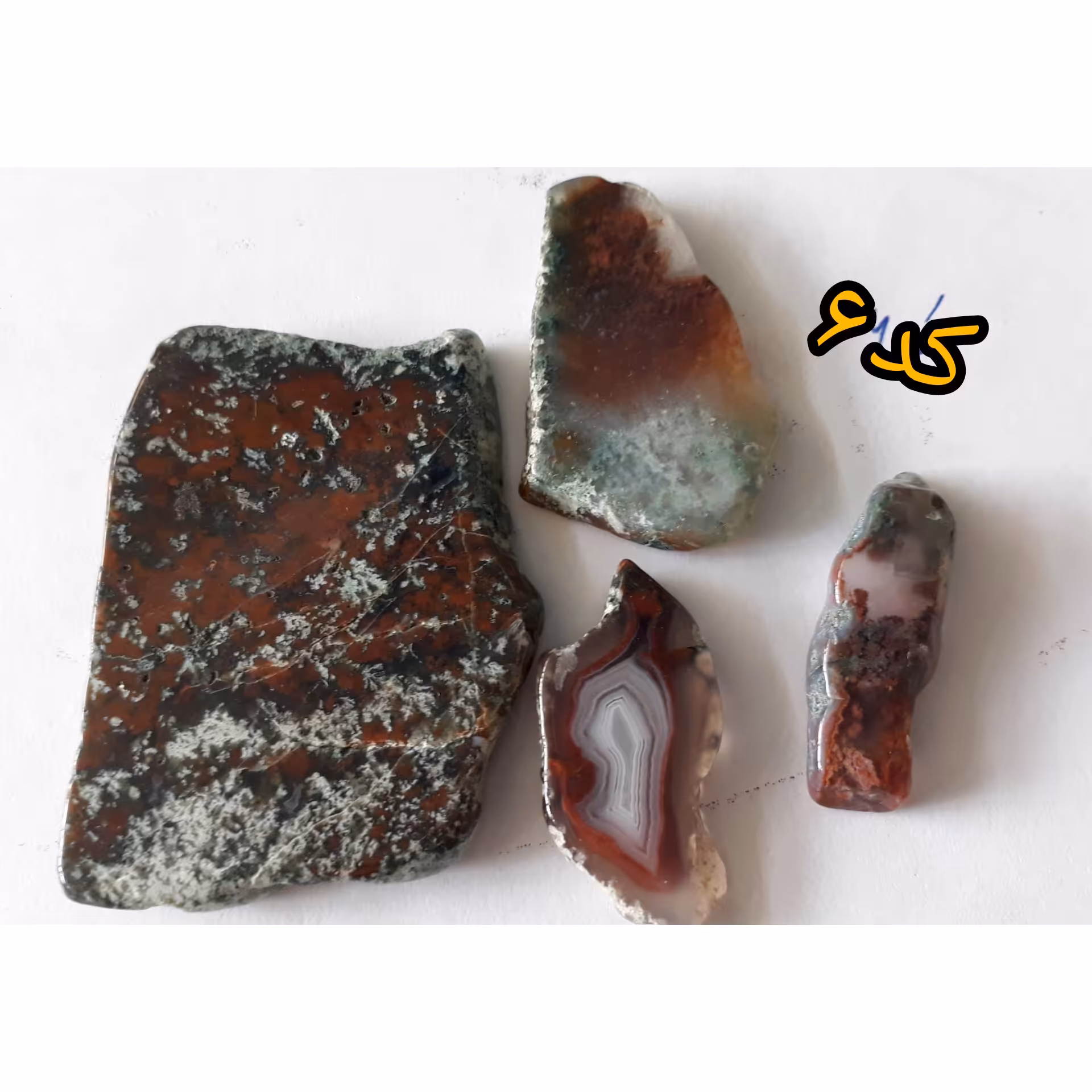 پک چهار تایی اسلایس کلکسیونی شجر کد 6