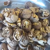 گردو باپوست نازک مغز 95درصد سفیدبدون پوک