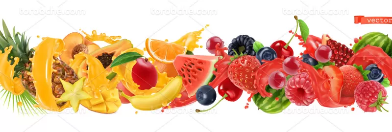 وکتور میوه های تازه | گرافیک با طعم تربچه