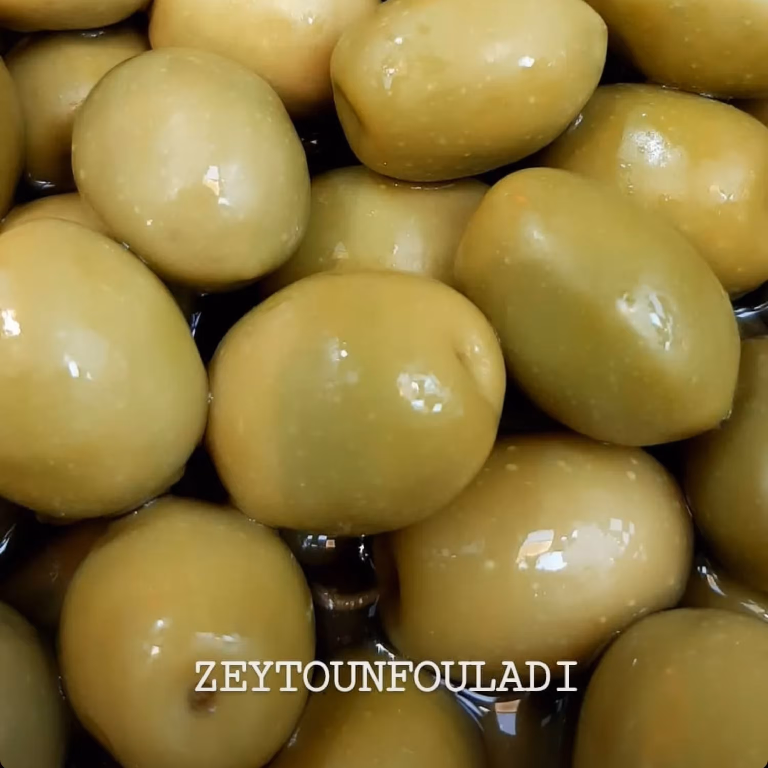 زیتون سوپر ویژه روغنی تازه  1   کیلویی رودبار