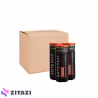 توپ تنیس آرتنگو مدل Artengo TB930 SPEED