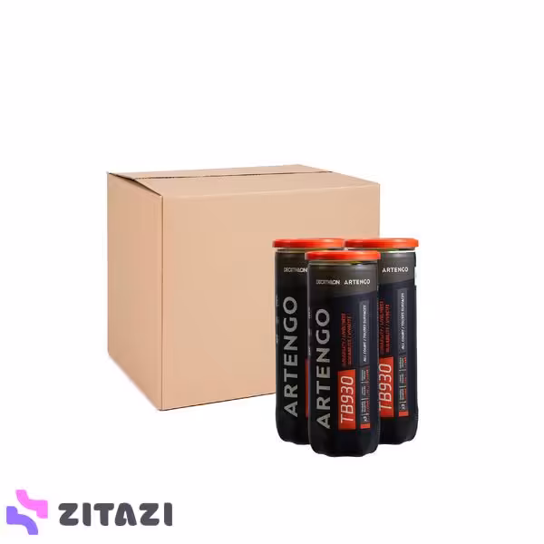 توپ تنیس آرتنگو مدل Artengo TB930 SPEED