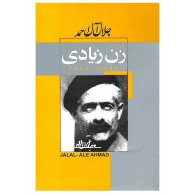 مجموعه داستان زن زیادی