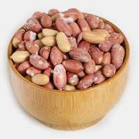 بادام زمینی شور ممتاز درشت فدک (750گرم)