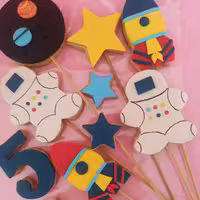 کوکی فضانورد