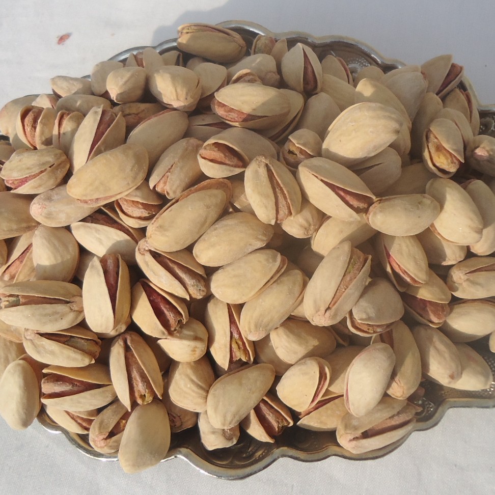 پسته اکبری نمکی