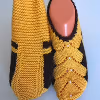 پاپوش مجلسی