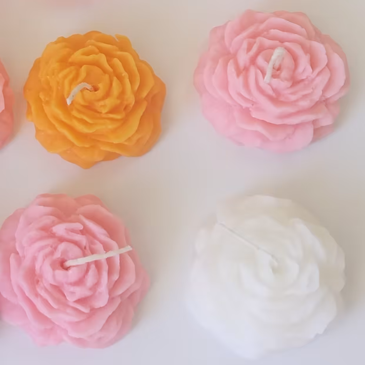 شمع های گل های پیونی