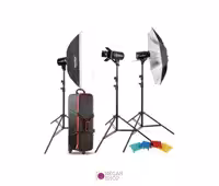 کیت کامل فلاش استدیویی گودکس Godox E250
