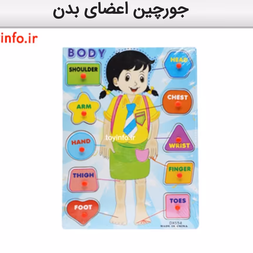 پازل چوبی آموزش اعضای بدن به زبان انگلیسی

