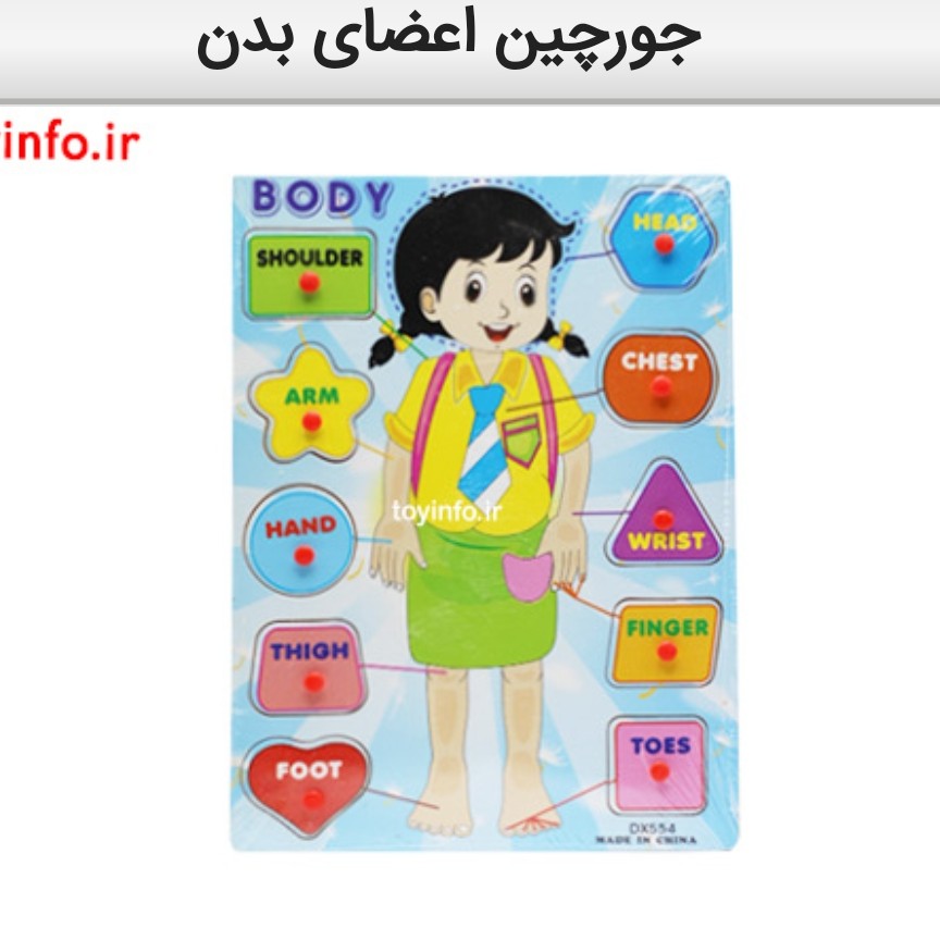 پازل چوبی آموزش اعضای بدن به زبان انگلیسی