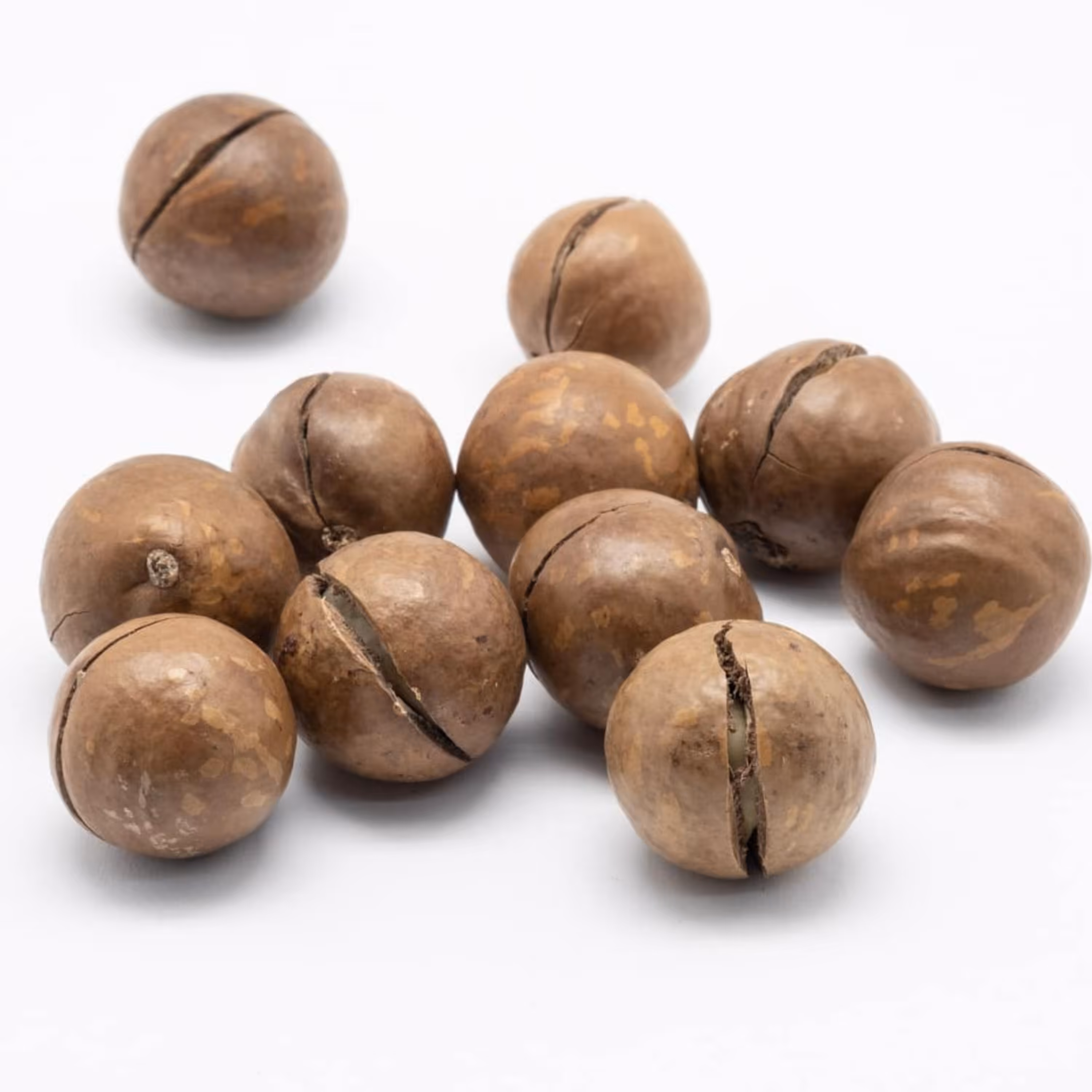 ماکادمیا با پوست 500 گرم