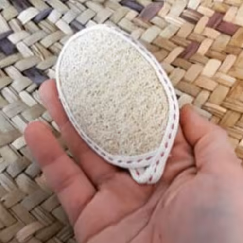 لیف صورت گیاهی لوفا لیف لوفا 