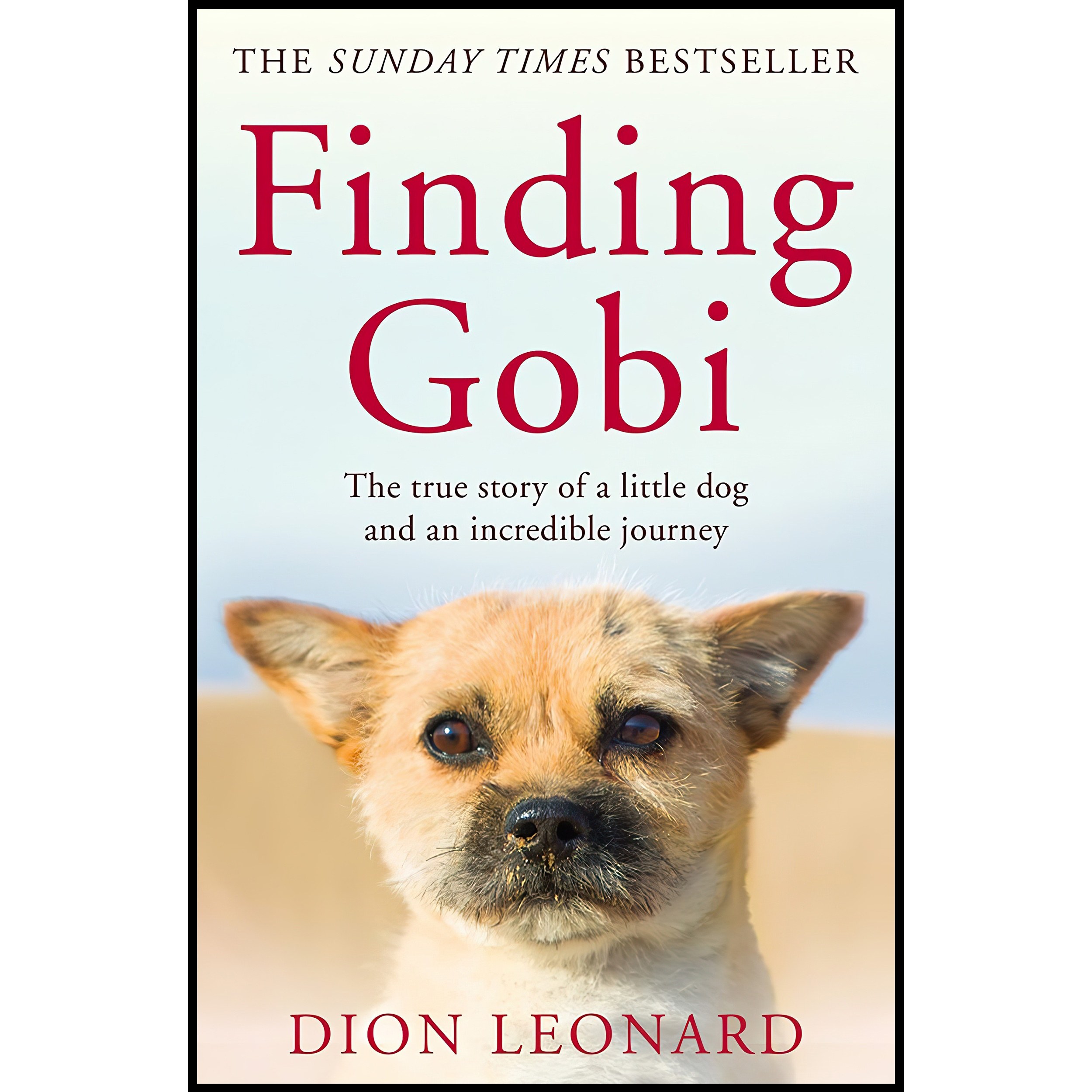 کتاب زبان اصلی FINDING GOBI MAIN ED PB اثر Craig Borlase and Dion Leonard