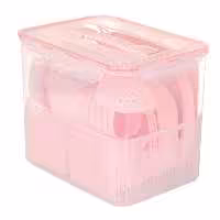 ظروف پیک نیک لیمون 6 نفره (کد10635)