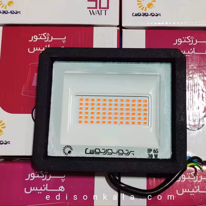پروژکتور 30 وات ال ای دی پرتو نور توس یکسال گارانتی (پس کرایه)