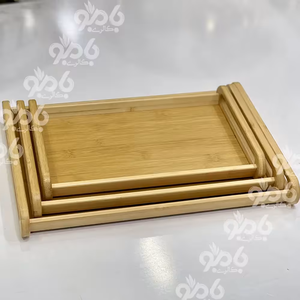 سینی بامبو مستطیل دسته بیضی 600/310