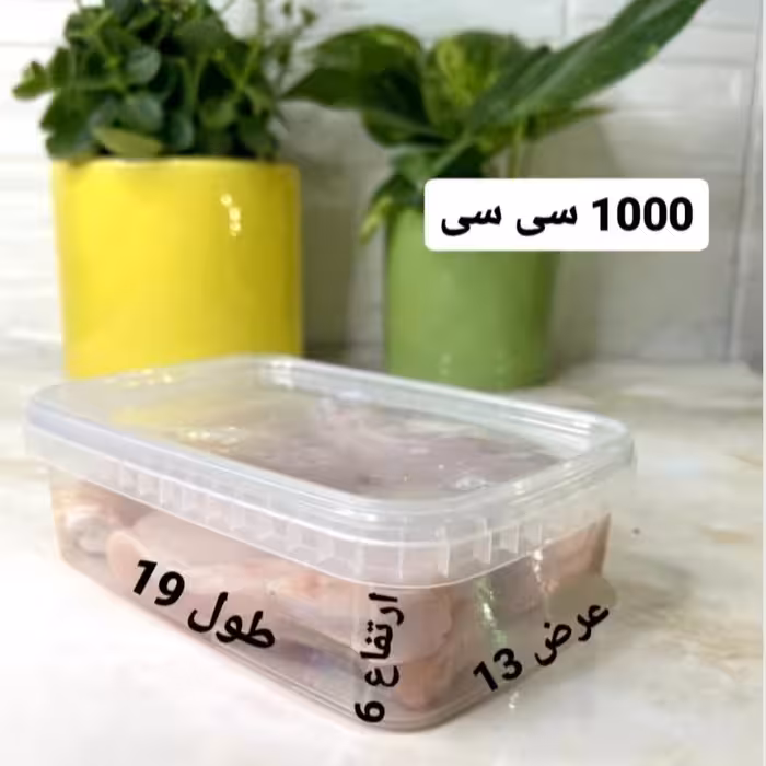 ظروف فریزری 1000سی سی پولادپویش 5عدد