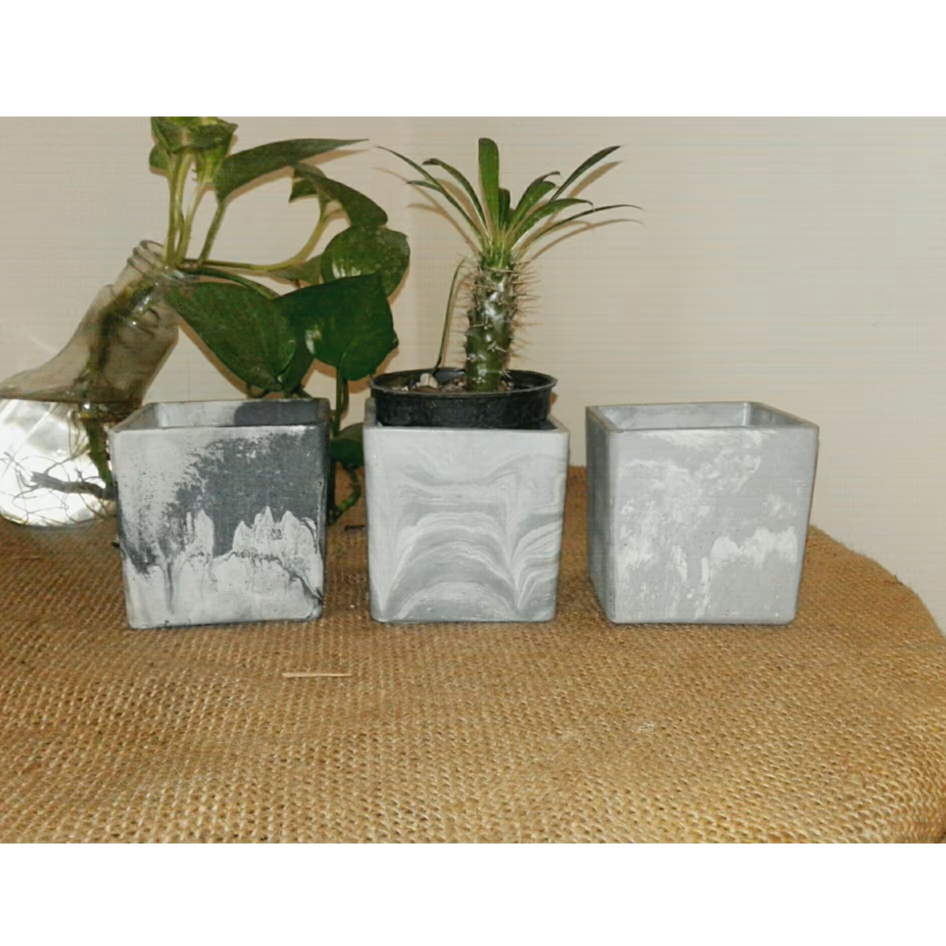 گلدان سفید طوسی