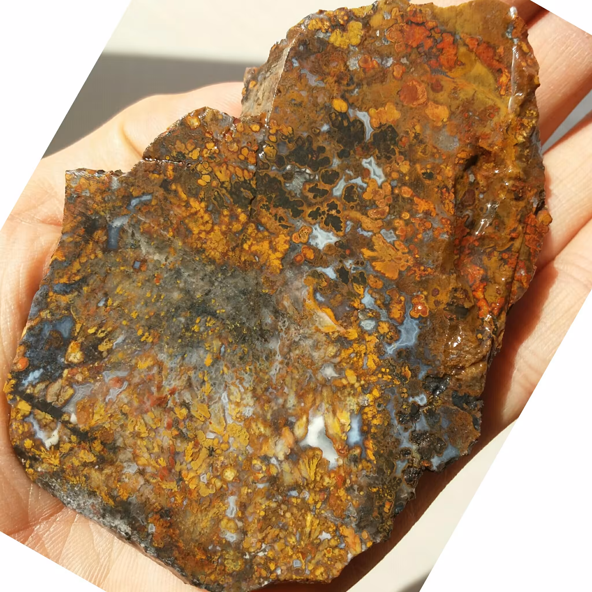 اسلایس سنگ راف شجر منظره کمیاب دیدنی کاملا طبیعی شاهکار خلقت خااااااااص زیباااا