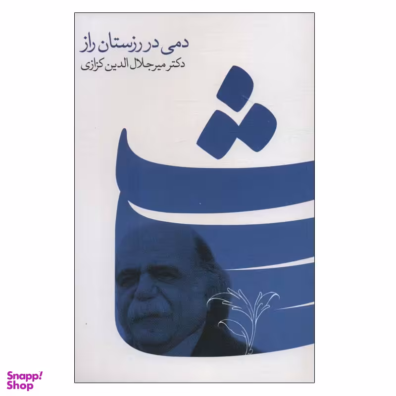 کتاب دمی در رزستان راز اثر میرجلال الدین کزازی انتشارات گویا