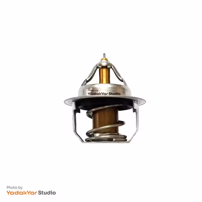 ترموستات کیا ریو کیا موتورز (جنیون پارت) - کره