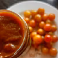 رب آلوچه تررررش جنگلی غلیظ خانگی امسال