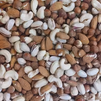 آجیل چهار مغز خام (250گرمی)