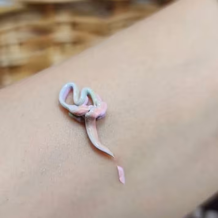 پرایمر رنگین کمانی