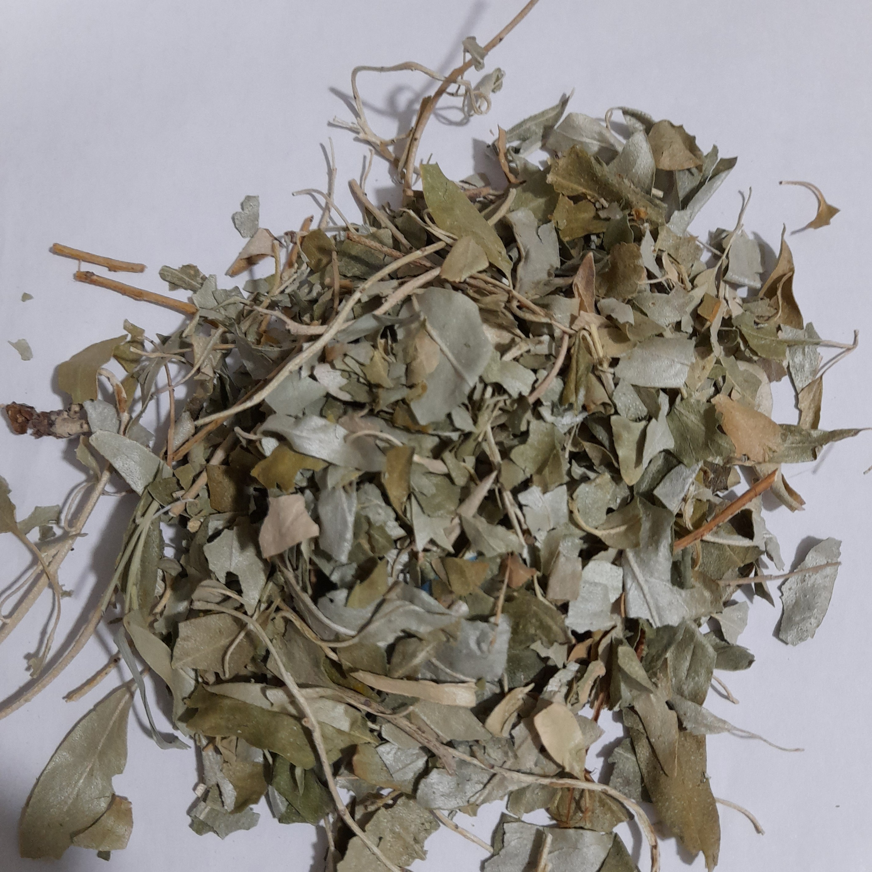برگ سنجد ( 50 گرمی )