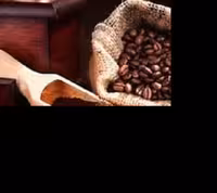 دان قهوه عربیکا60درصد