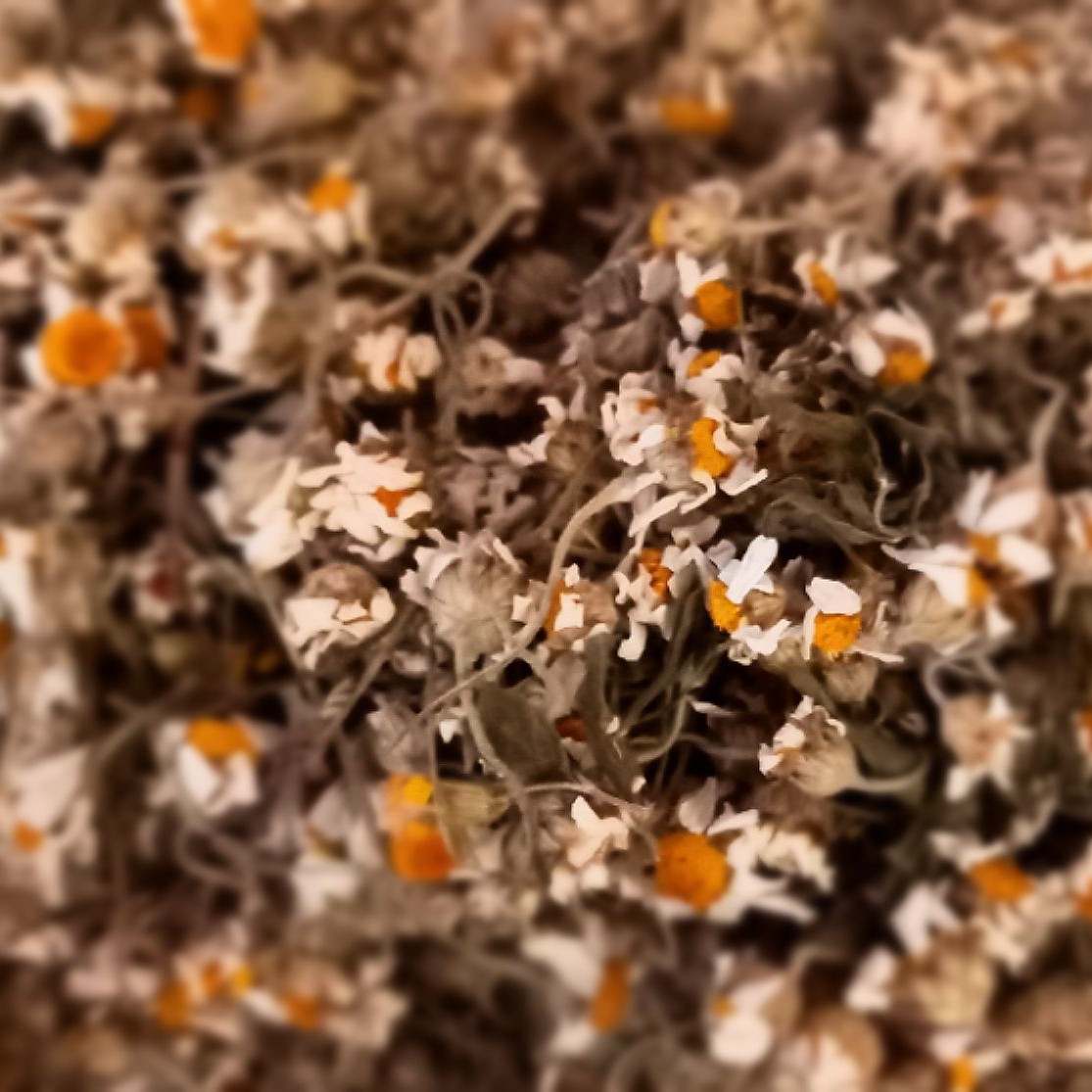 بابونه خشک شده اعلا درجه یک 40 گرمی