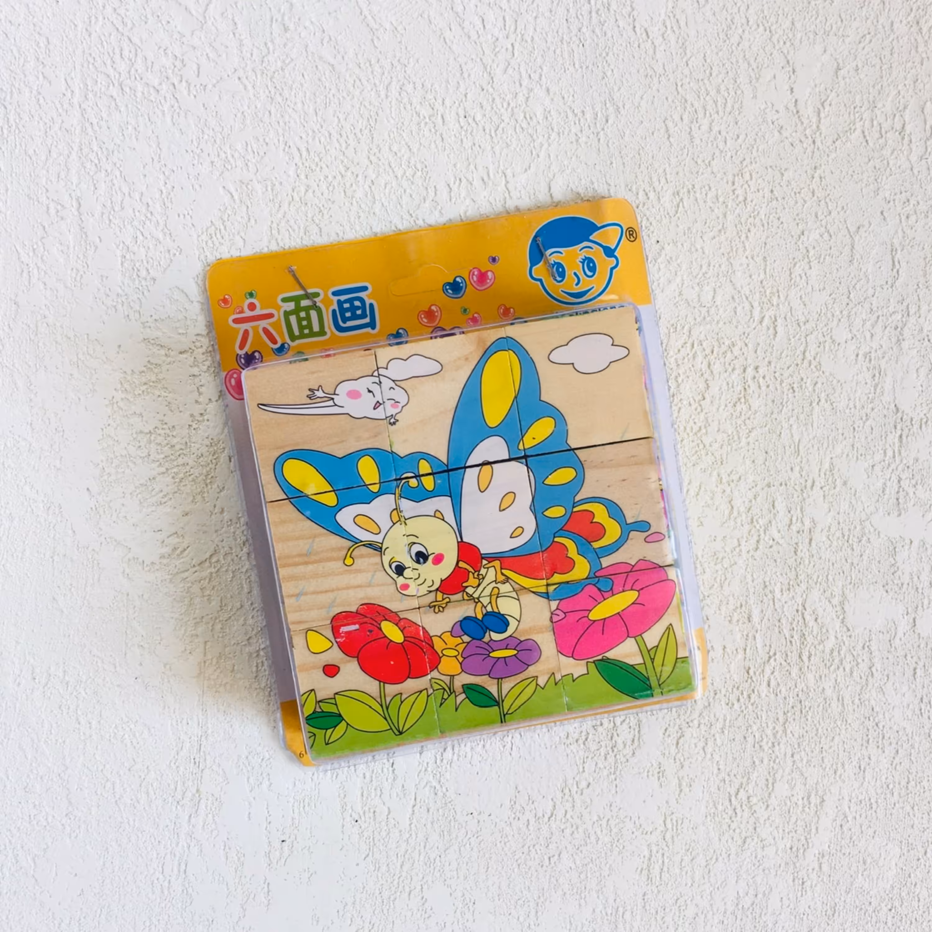 پازل چوبی 6 وجهی 9 قطعه طرح حشرات (رافولین گیمز)