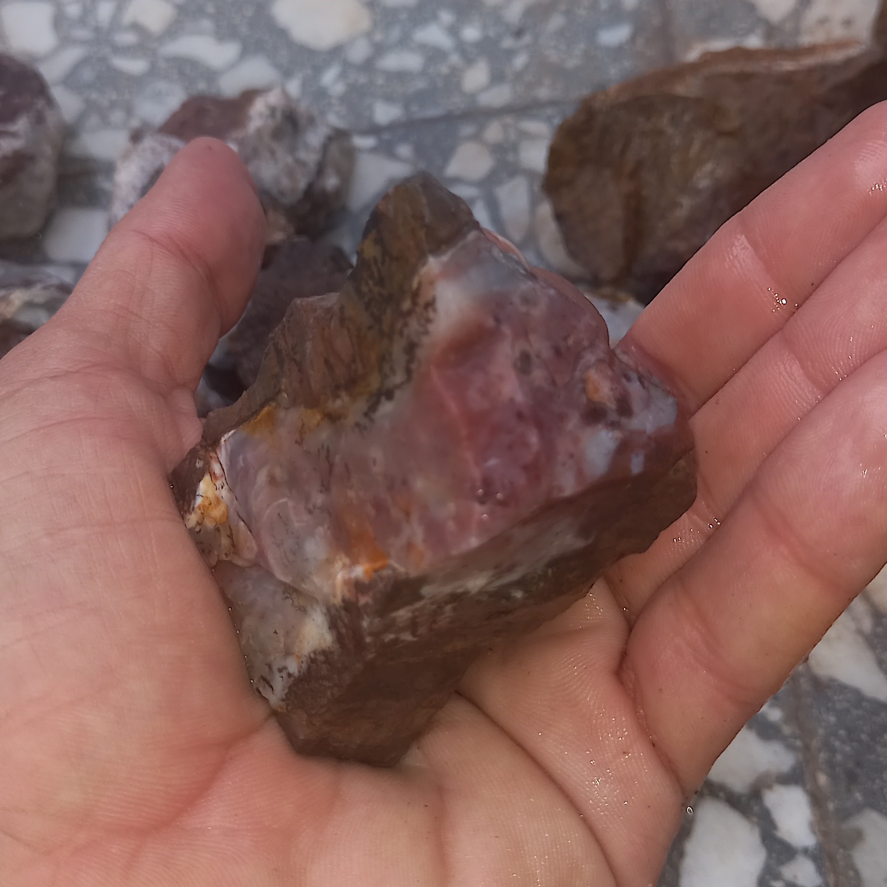 عقیق سوسن