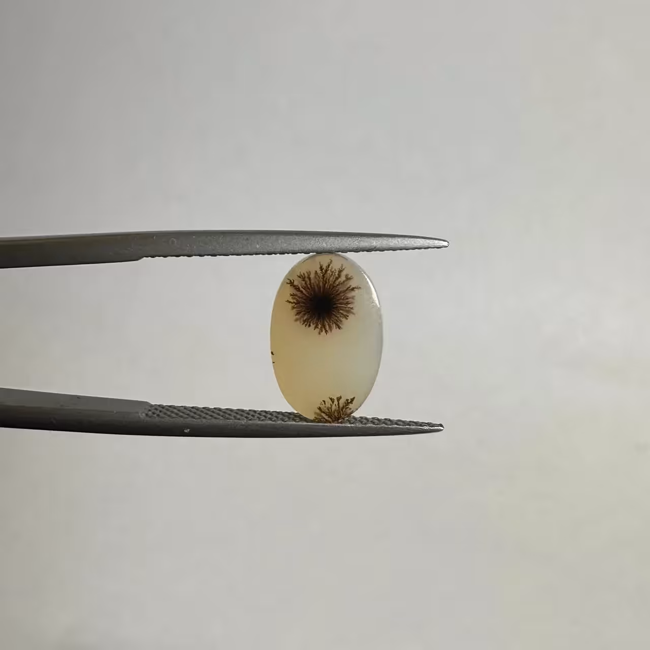 سنگ قیمتی عقیق شجر بیضی 240961