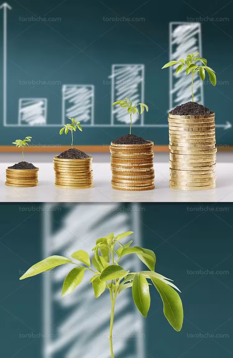 عکس سرمایه گذاری رو به رشد | گرافیک با طعم تربچه