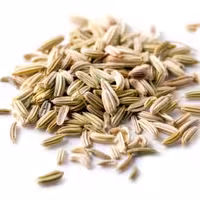 پودر رازیانه 500 گرم (بادیان)