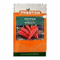 بذر فلفل کاپی هیبرید مانیلا فانتوم