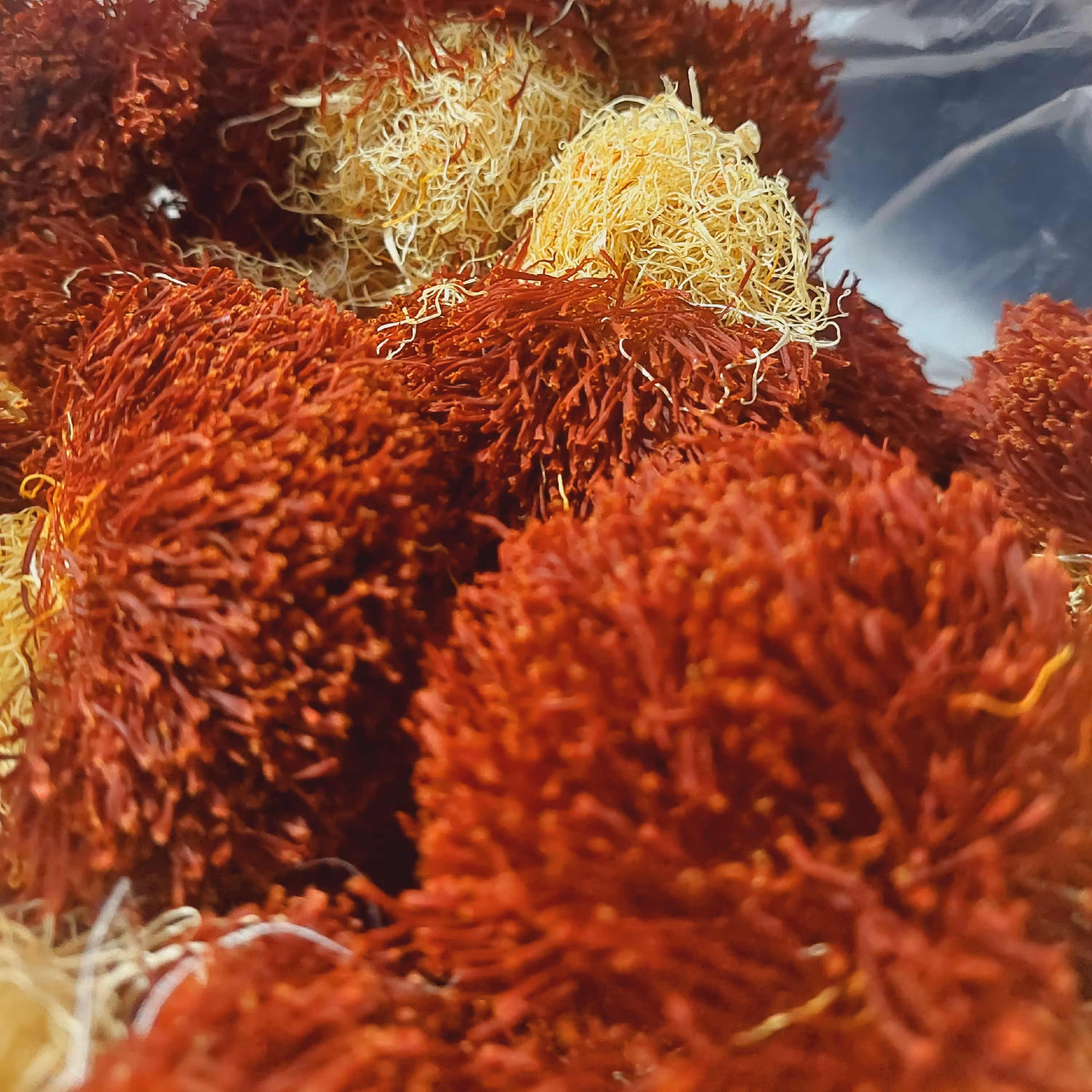 زعفران درجه یک قاین، یک مثقالی، کاملا ارگانیک و  خوش رنگ