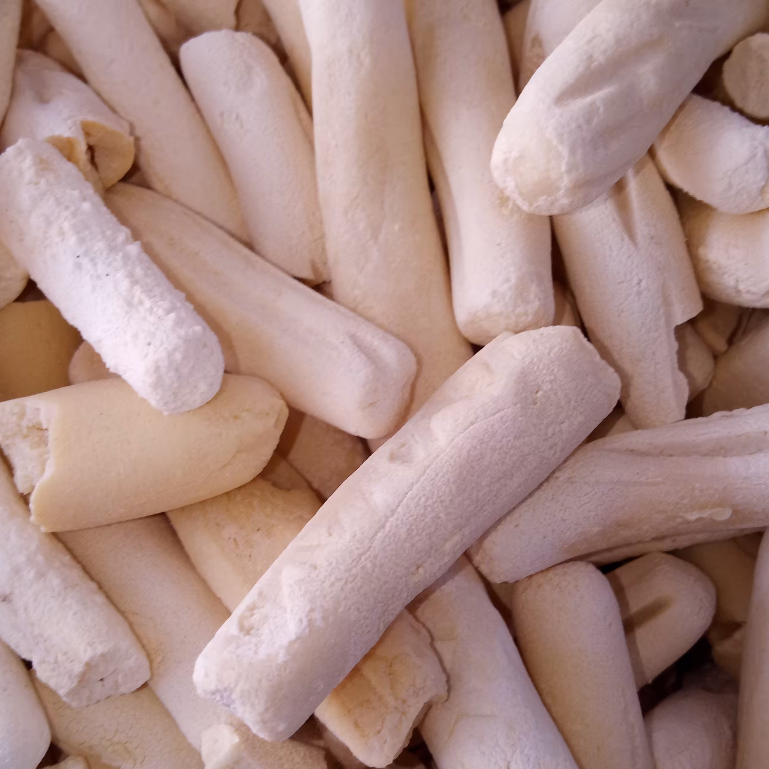 کشک گوسفندی