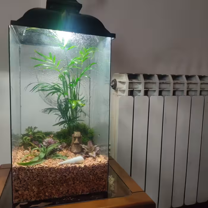 تراریوم چند وجهی طرح چراغ خواب -مشکی - همراه با چراغ