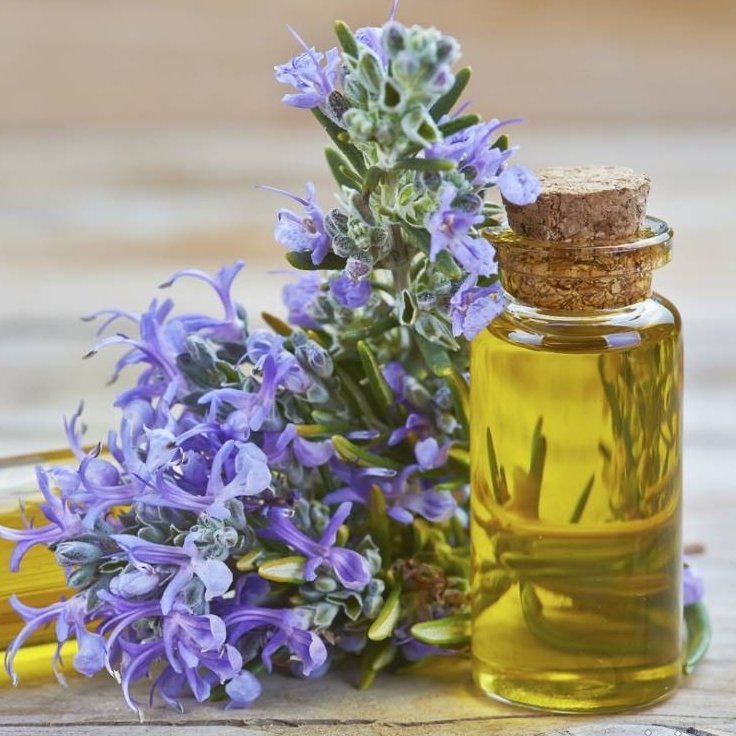 روغن رزماری