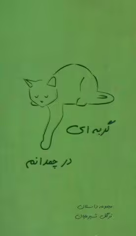گربه ای در چمدانم (مجموعه داستان)