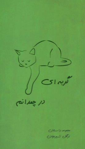 گربه ای در چمدانم (مجموعه داستان)